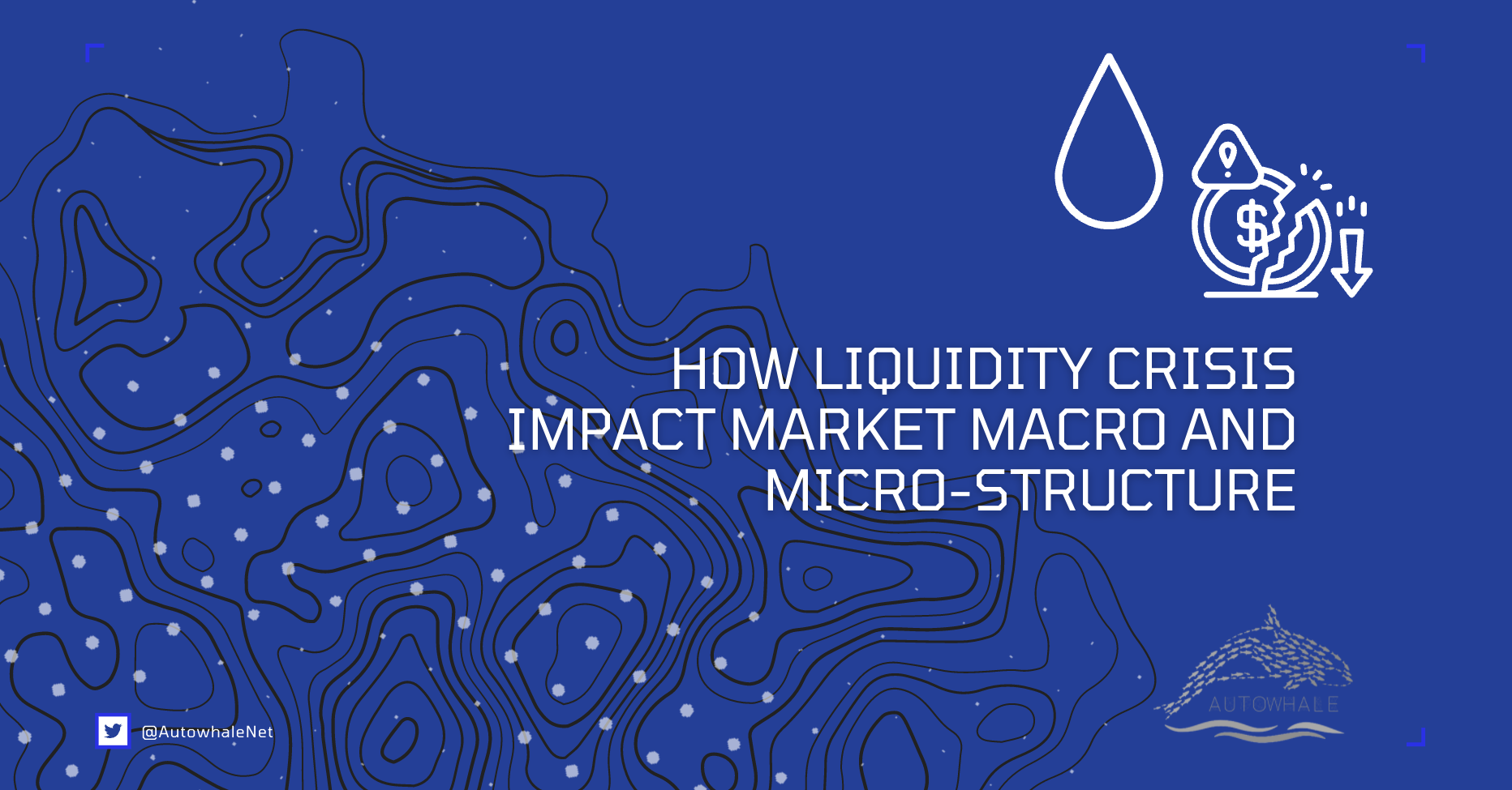 liquidity_crisis_and_its_effects_on_markets_micro_and_macro_structure Liquidity crisis, macro and market microstructure