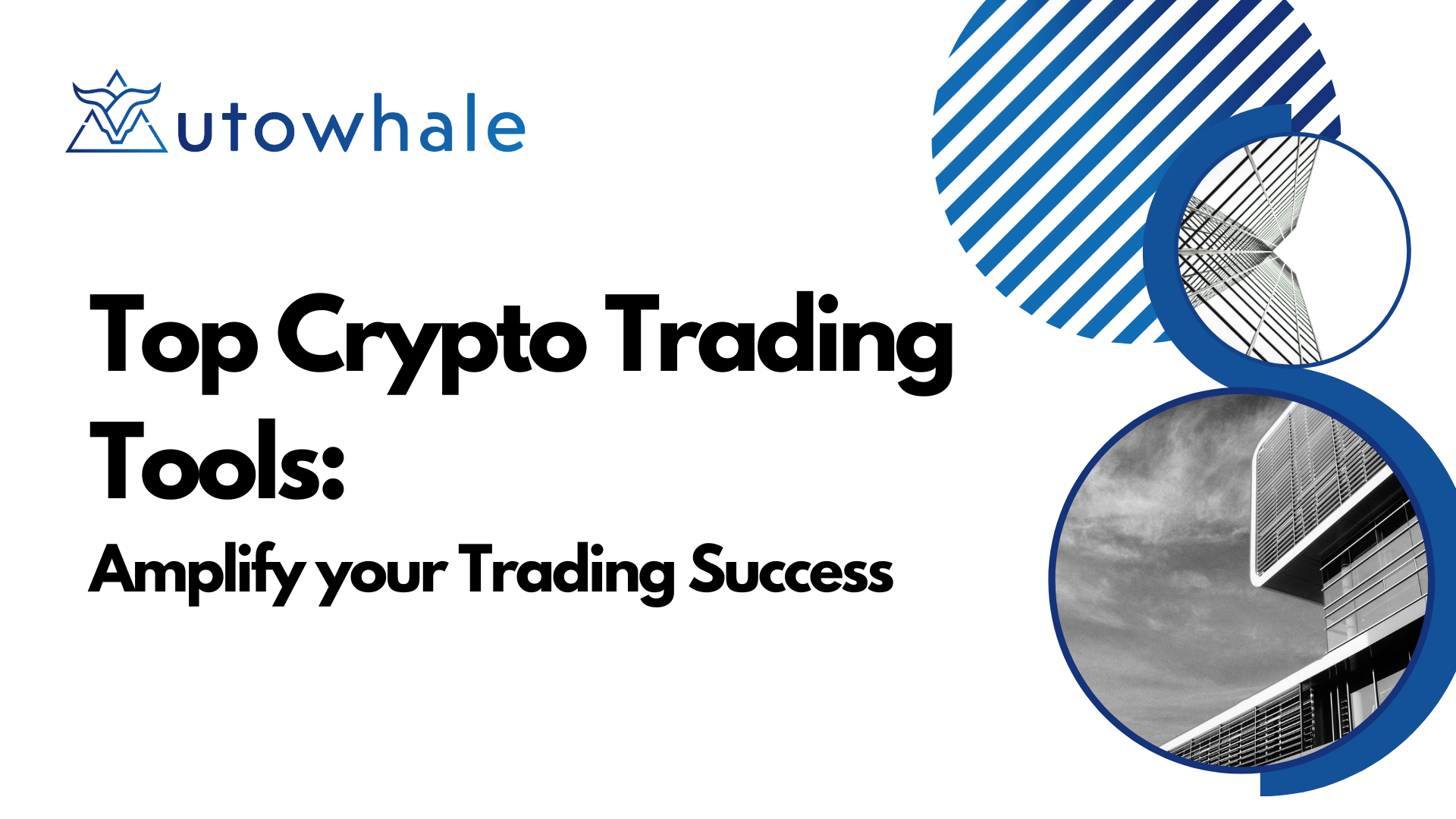 Top Crypto Trading Tools: Amplify your Trading Success