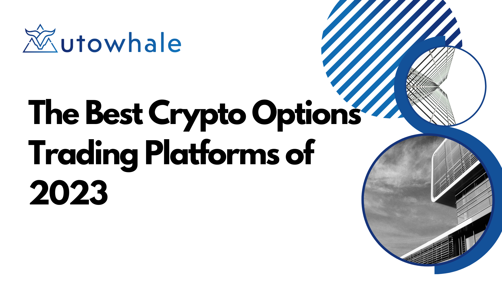 The Best Crypto Options Trading Platforms of 2023