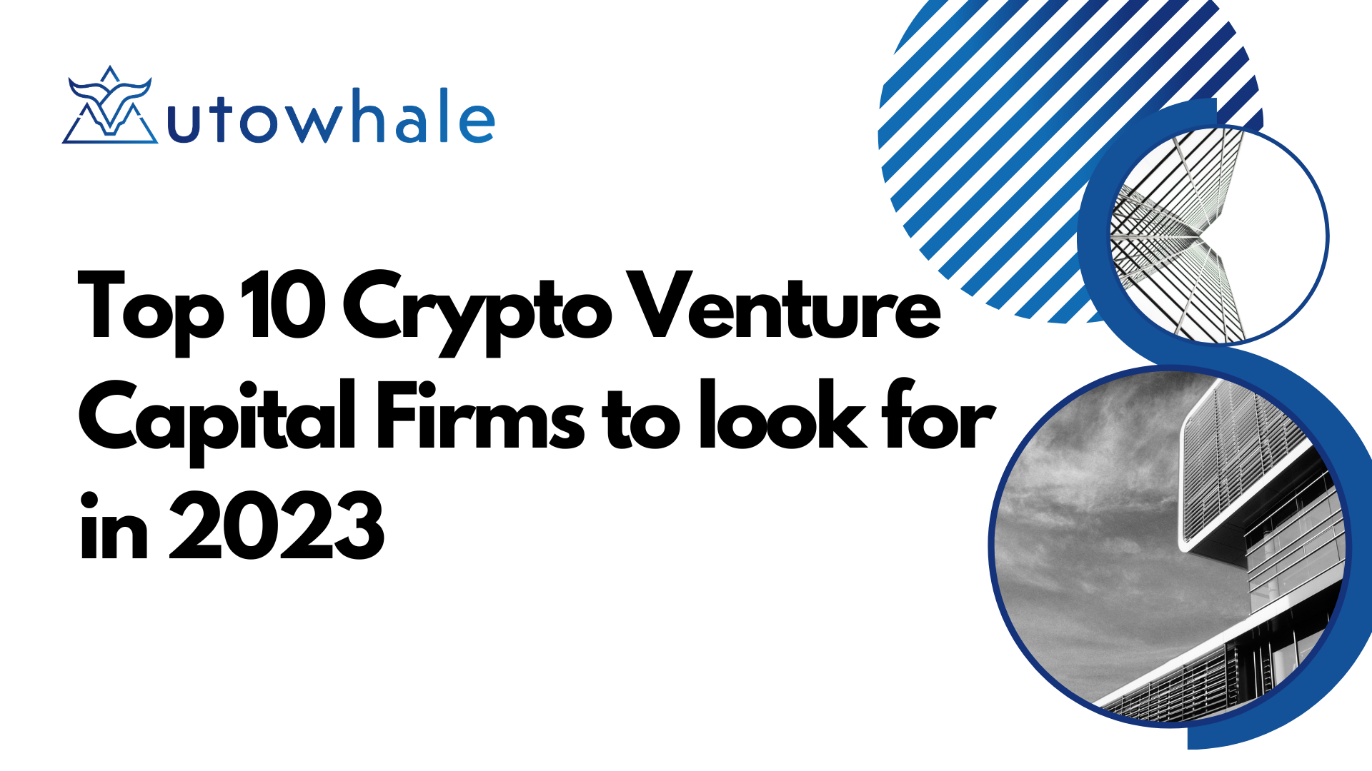 Crypto Venture Capital Firms