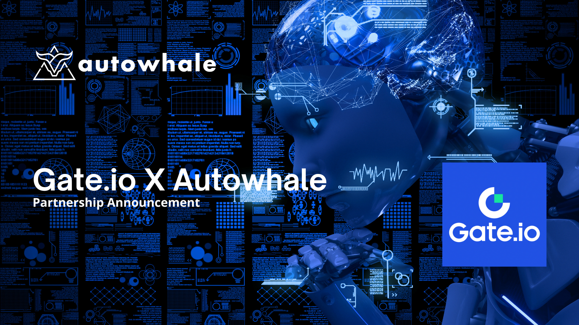 GateioAutowhale GateioAutowhale